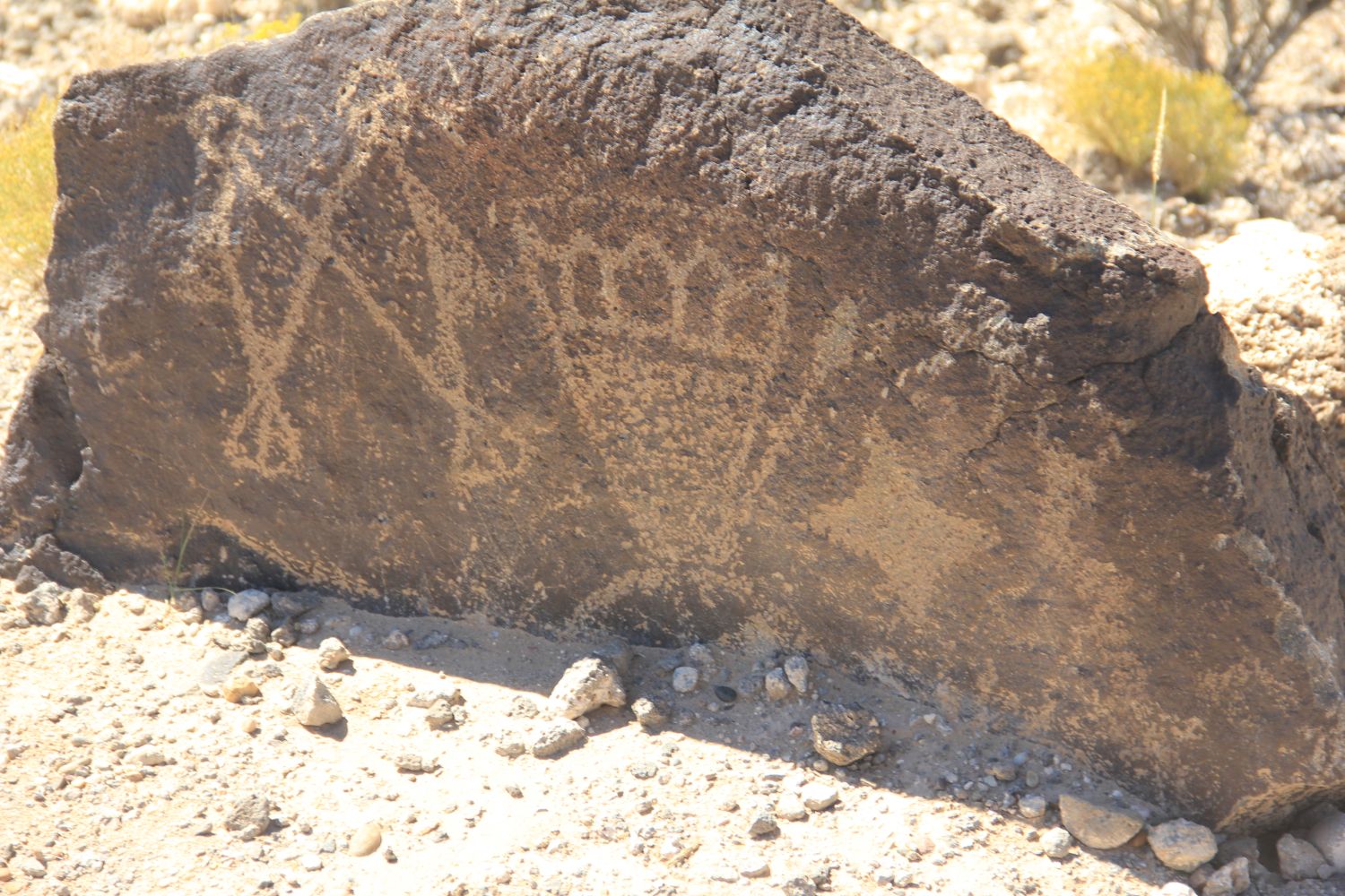 Petroglyph National Monument 